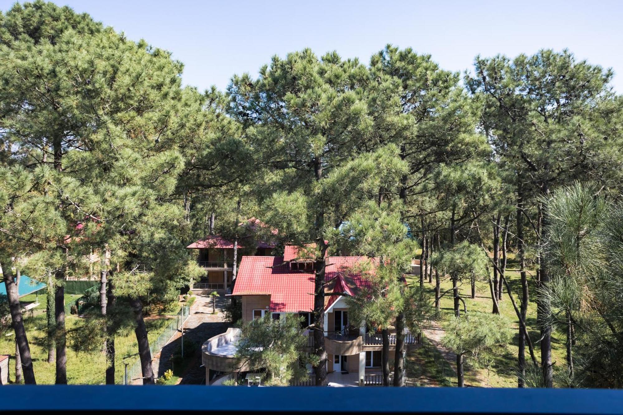 Hotel Bratislava Shekvetili Dış mekan fotoğraf